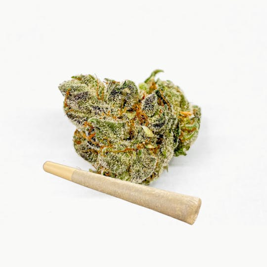 BeWell Organic Medicine - Purple Diesel 1g Pre-roll - 1