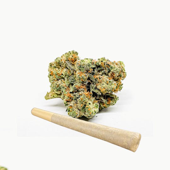 BeWell Organic Medicine - Bad N Boujee 1g Pre-roll - 1