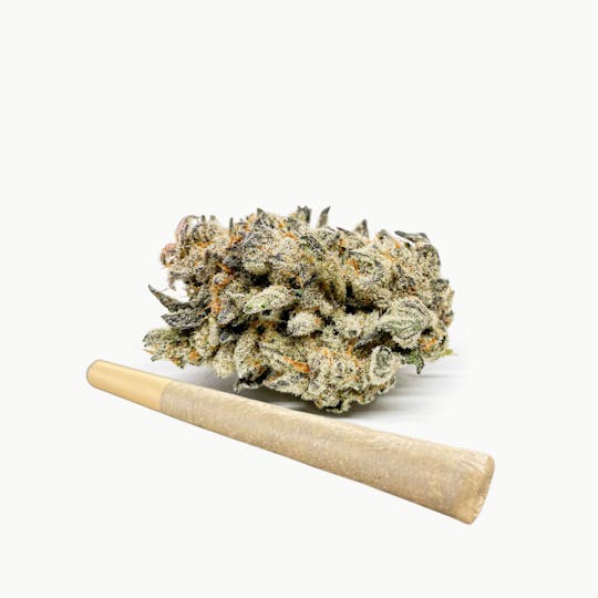 BeWell Organic Medicine - Bread + Butter 1g Pre-roll - 1
