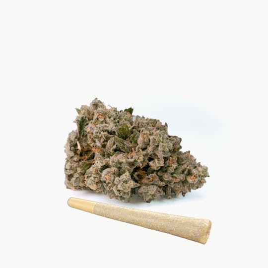 BeWell Organic Medicine - Detroit Runtz 1g Pre-roll - 1