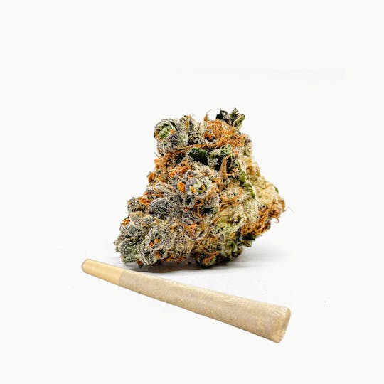 BeWell Organic Medicine - Dreamsicle 1g Pre-roll - 1