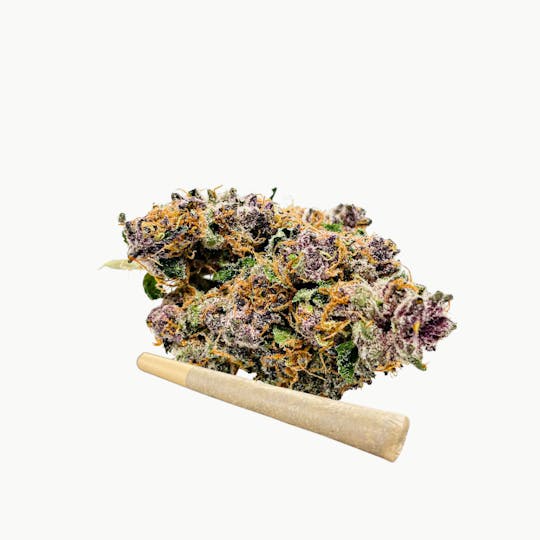 BeWell Organic Medicine - Purple Marmalade 1g Pre-roll - 1