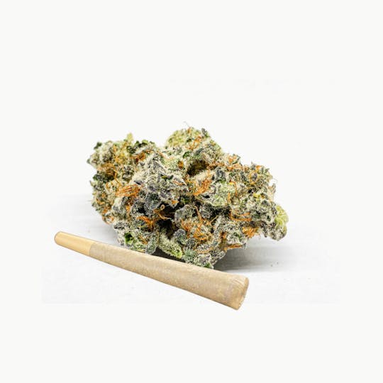 BeWell Organic Medicine - Singapore Sling 1g Pre-roll - 1
