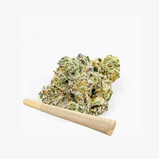 BeWell Organic Medicine - Truffle Monkey 1g Pre-roll - 1