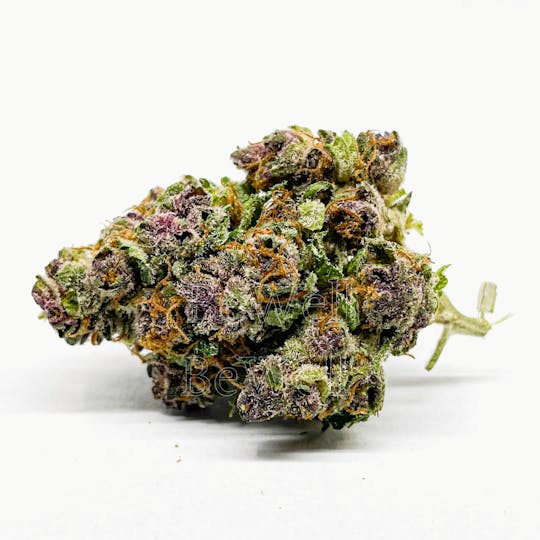 BeWell Organic Medicine - Moneymaker 3.5G Flower - 1