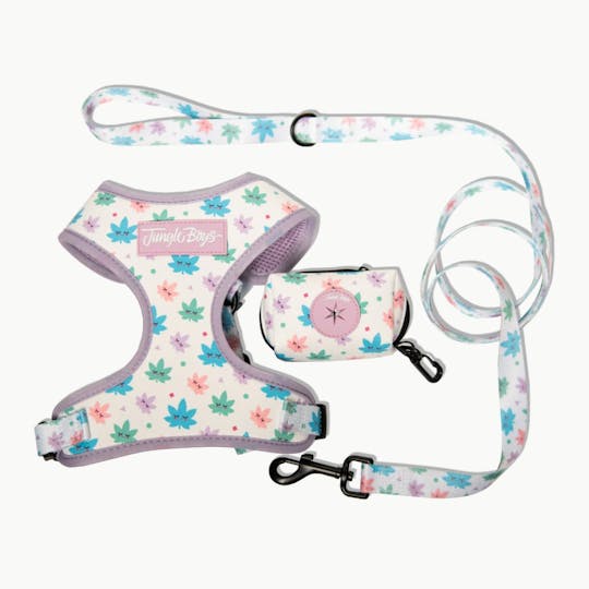Jungle Boys - Jungle Boys Clothing | Dog Harness Set (Happy Leaf) - 1