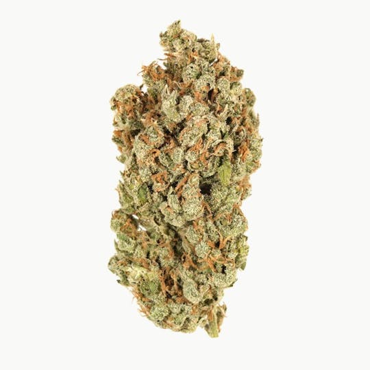 Purple Lotus - Bay Life - SJ Cookies - 1