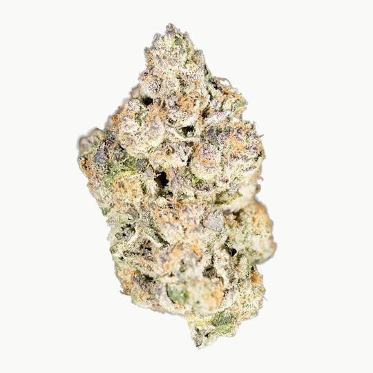 Purple Lotus - Blue Chip - Buttermilk - 1