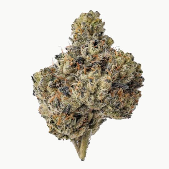 Purple Lotus - Blue Chip - Cold Heat - 1