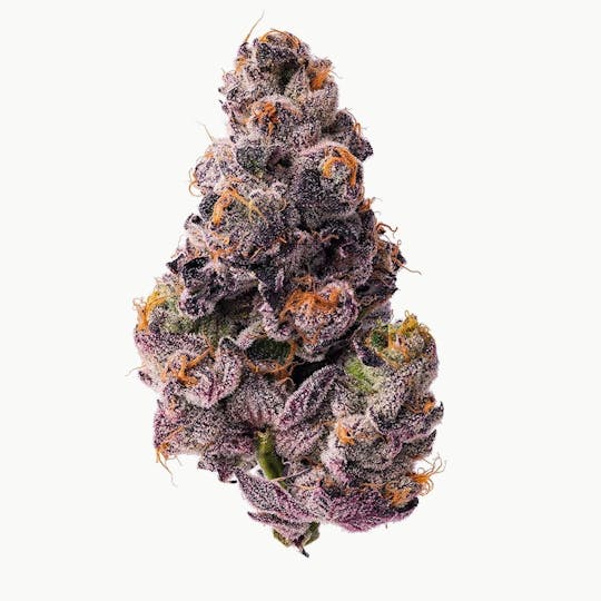 Purple Lotus - Blue Chip - Slurty #33 - 1