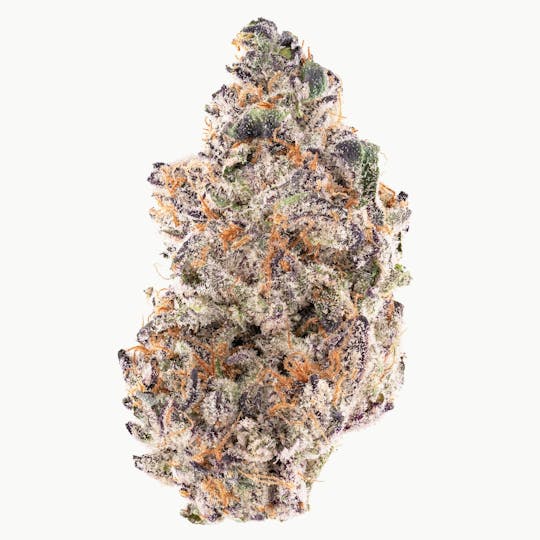 Quality Over Quantity - Raspberry Gelato Flower 14g - 1