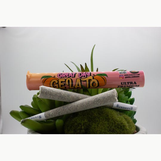 Nura - Great Day Gelato - 1g Premium Pre-Roll - 1