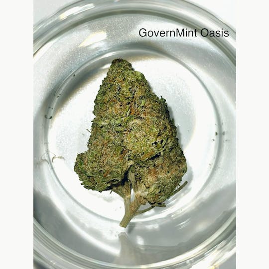 Trusty Transportations - GoverMint Oasis 1/4 OZ/7Grams(32%THC, HYBRID) - 1