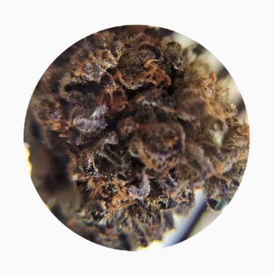Doughboi Farms - Oreoz - 1
