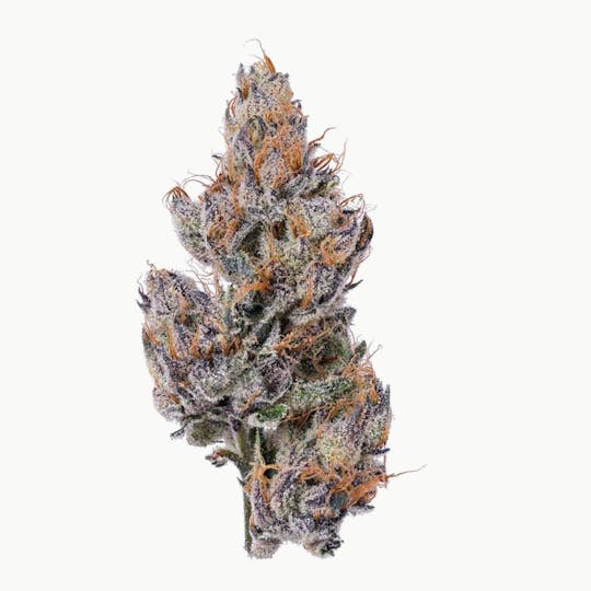 Purple Lotus - Blue Chip - Super Cherry Pop - 1