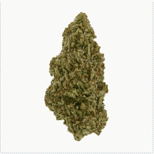 Smoakland - Black - Blue Dynamite (I/H) - 14g - 1