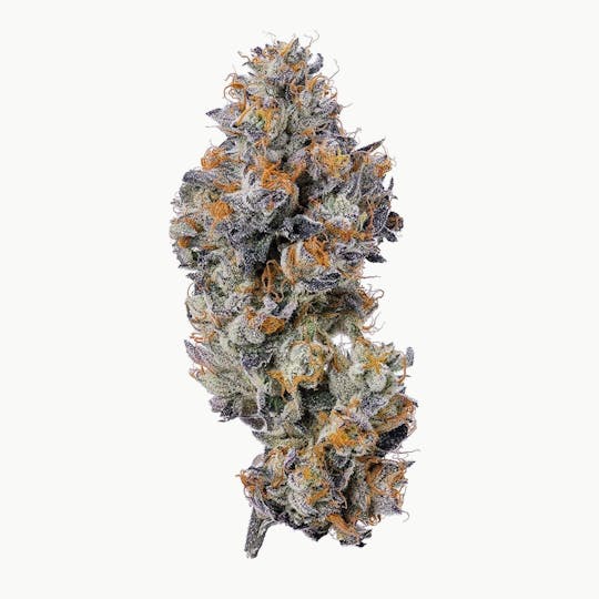 Purple Lotus - Blue Chip - Blue Gelato 3.5g - 1