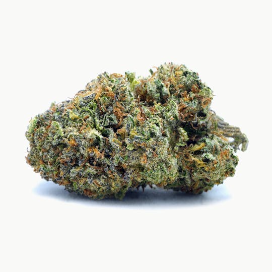 High Tide Organics - Peach Ringz | Greenhouse 3.5g - 1