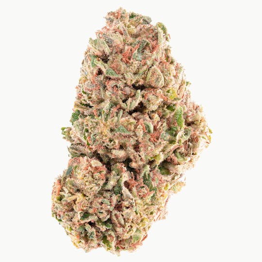 Joy Ridge Farms - Dolato - 1