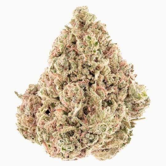 Joy Ridge Farms - Blueberry Haze - 1