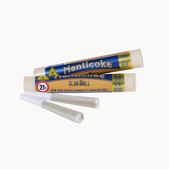 Nanticoke - GLUEBALL 0.5G PRE-ROLL JOINT - 1
