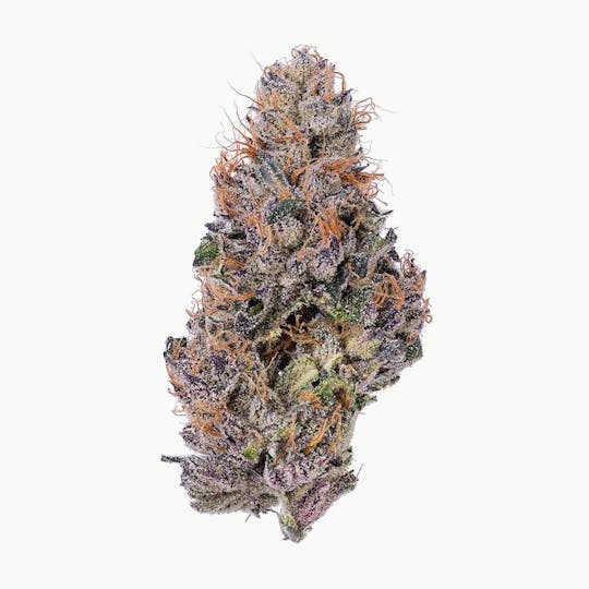 Purple Lotus - Blue Chip - Zalenziaga - 1