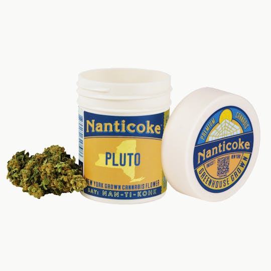Nanticoke - PLUTO FLOWER - 1