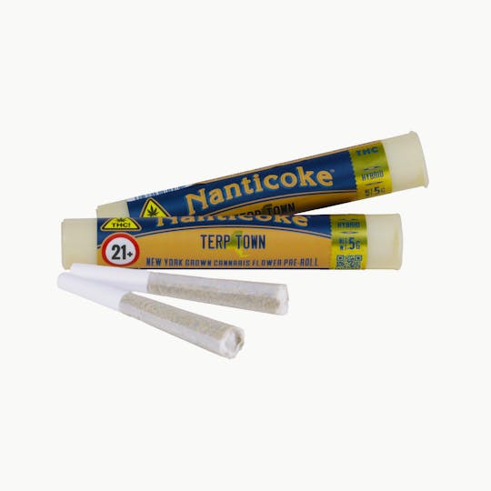 Nanticoke - TERP TOWN 0.5G PRE-ROLL JOINT - 1