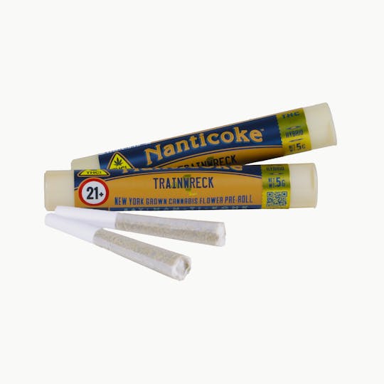 Nanticoke - TRAINWRECK 0.5G PRE-ROLL JOINT - 1