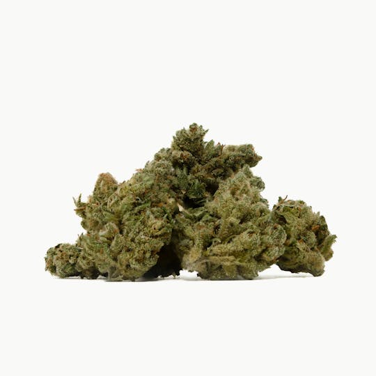 Strains - Jack Herer 1oz - 1
