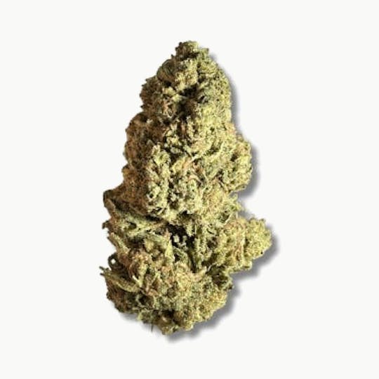 Smoakland - Black - Blue Rhino (H) - 28g - 1