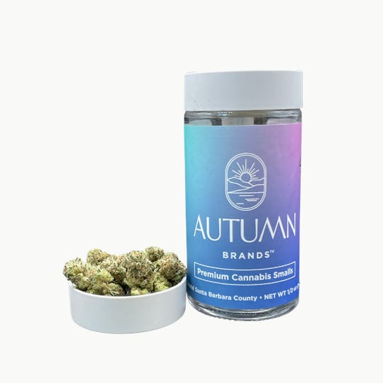 Autumn Brands - Pure Michigan 14g Smalls - 1