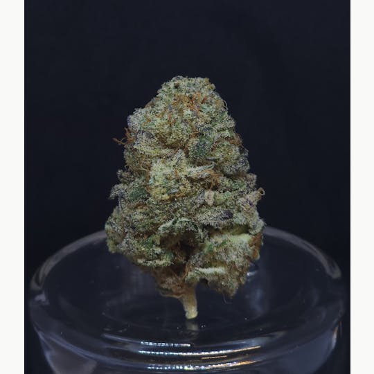 BAM Alaska - Grease Monkey 1.5g Fat Boy - 1