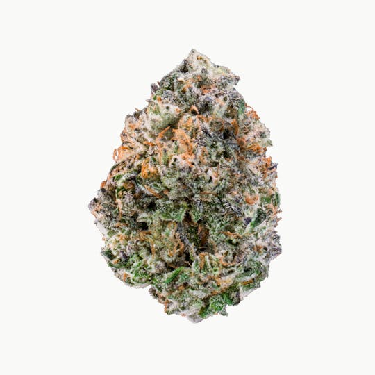 Kutz Premium Cannabis - KUTZ | Dat Big Nasty - 1
