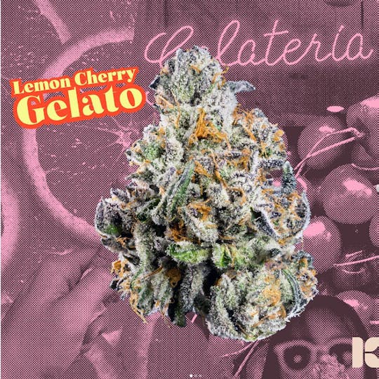 Kutz Premium Cannabis - KUTZ | Lemon Cherry Gelato - 1