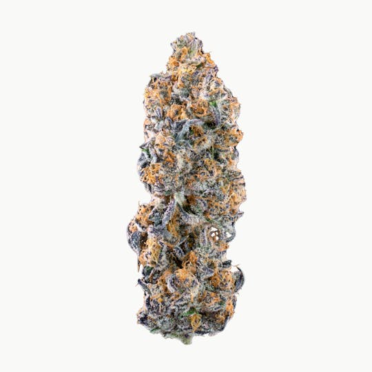 Kutz Premium Cannabis - KUTZ | Toto Blanco - 1