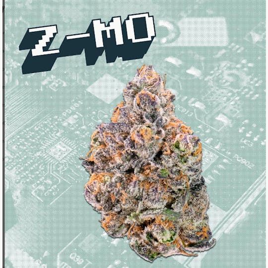 Kutz Premium Cannabis - KUTZ | Z-MO - 1