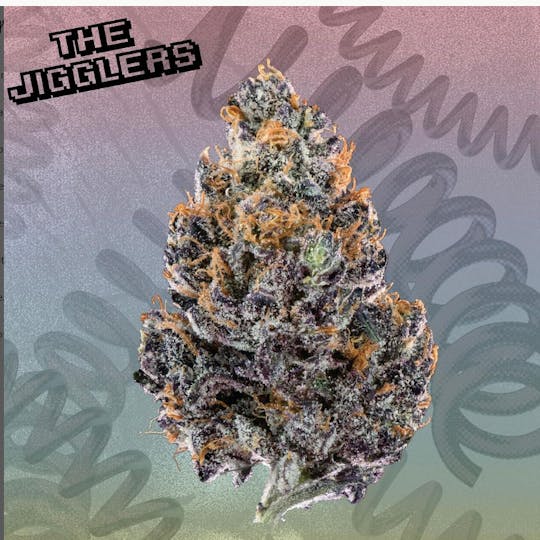 Kutz Premium Cannabis - KUTZ | The Jigglers - 1