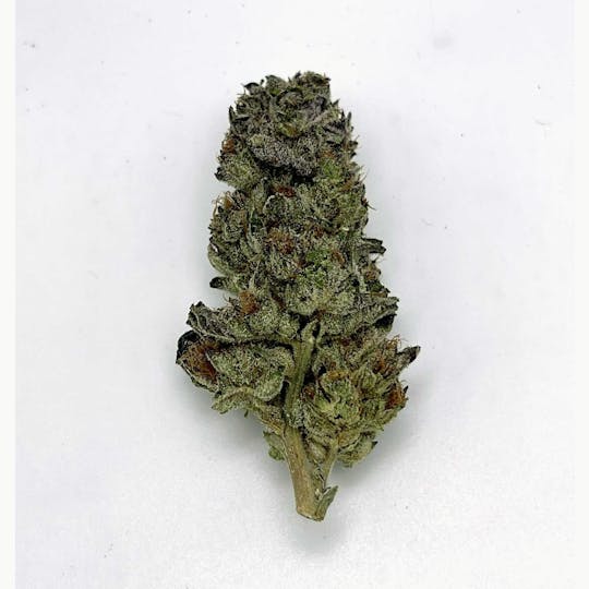 Trusty Transportations - Ice Cream Cake Gram(28%THC,INDICA) - 1