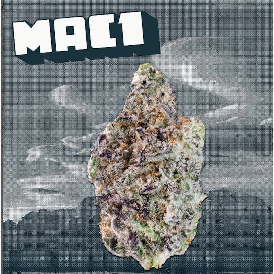 Kutz Premium Cannabis - KUTZ | MAC 1 - 1