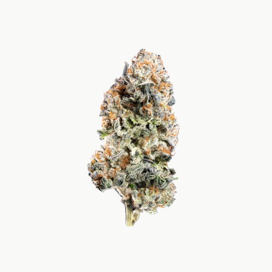 Kutz Premium Cannabis - KUTZ | Cherry Punch - 1