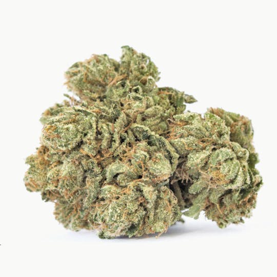 Animal - WoW - Hybrid - 30% THC - 1