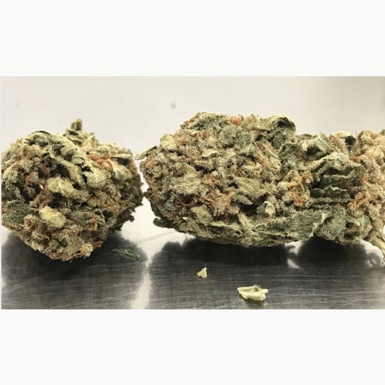 Animal - Ninja Turtle - Hybrid - 30% THC - 1