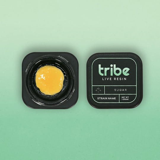 Tribe - Yeti Forest - Live Hash Rosin - 1g - 1