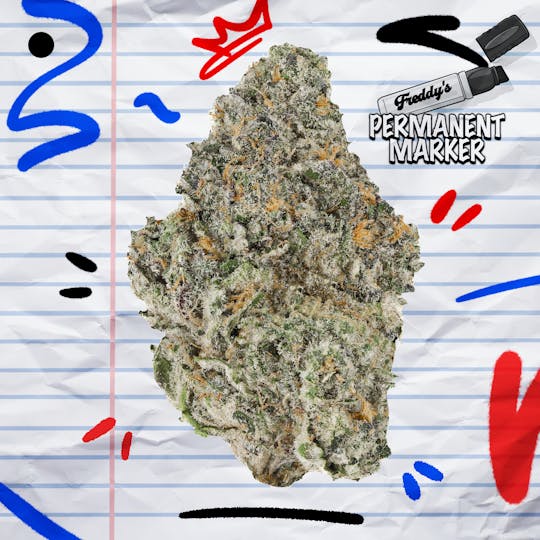 Freddy's Fuego - Permanent Marker - Freddy's Finest - 1