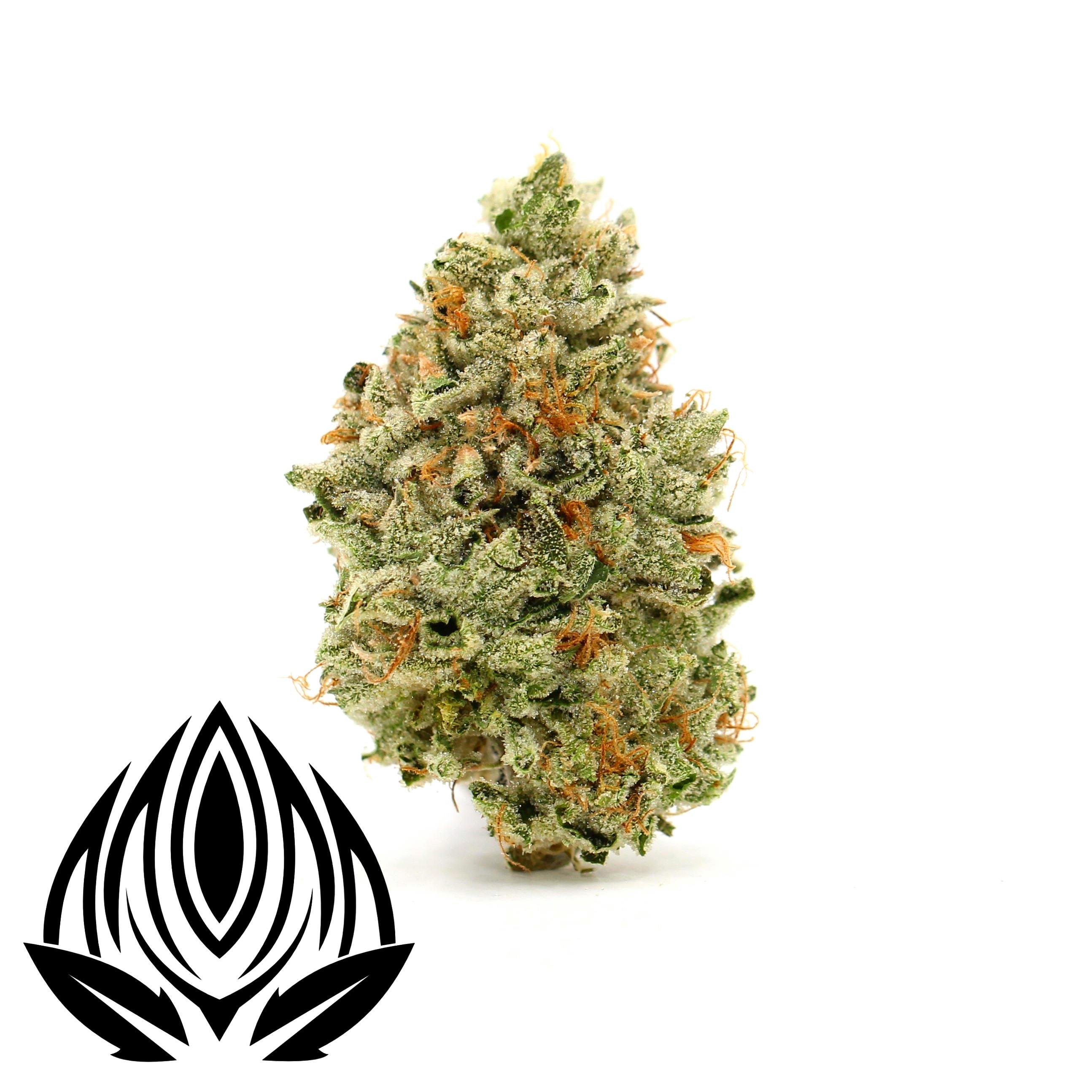 Peak Maine Cannabis - Pie Dough - Peak Maine - 1