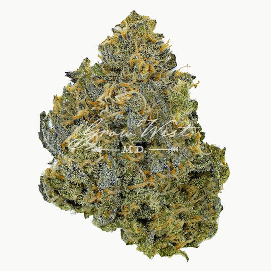 Grow West Cannabis Company - Bluniverse | Gold | Trimmed Flower - 1