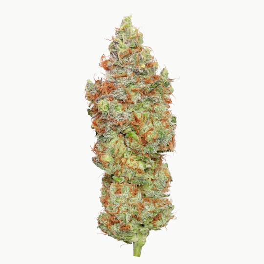 Enlighten - Moroccan Peaches - 1