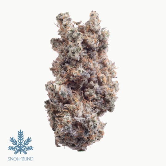 Snowblind Cannabis - Cap's Frozen Lemons - 1