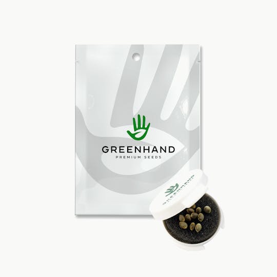 Crown Genetics - Green Hand Premium Silver Spoon Seeds - 1